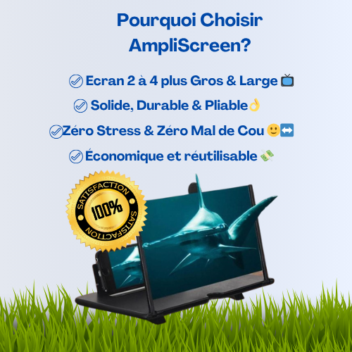 AmpliScreen™ - Amplificateur d'écran 3D