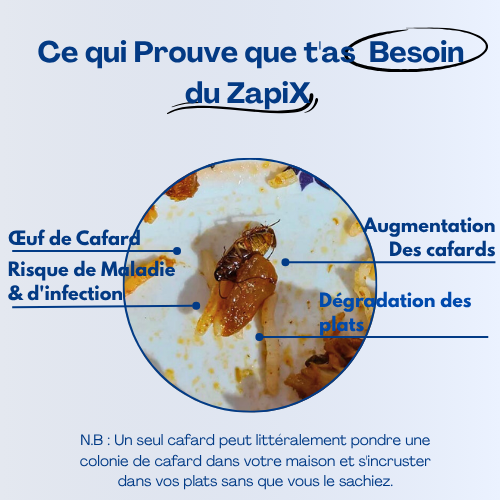 ZapiX™ - Gel Anti-Cafards