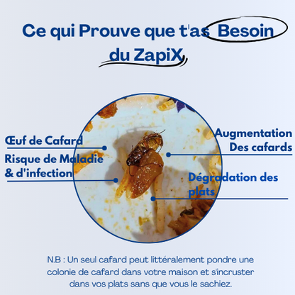 ZapiX™ - Gel Anti-Cafards