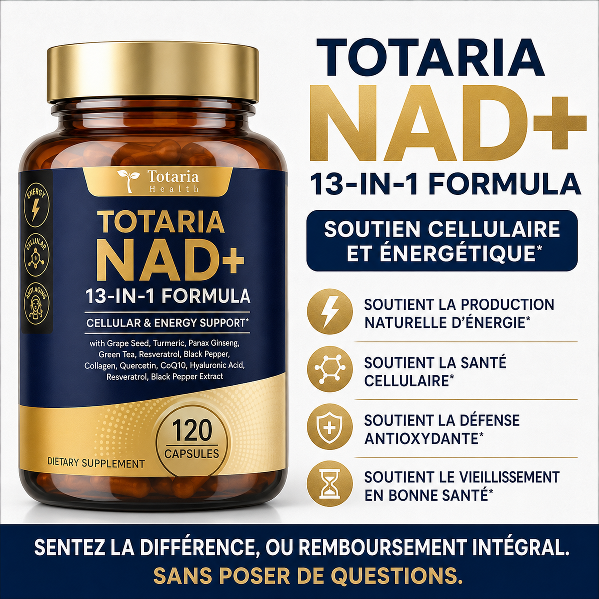 Totaria NAD+™ - Capsules de NAD+