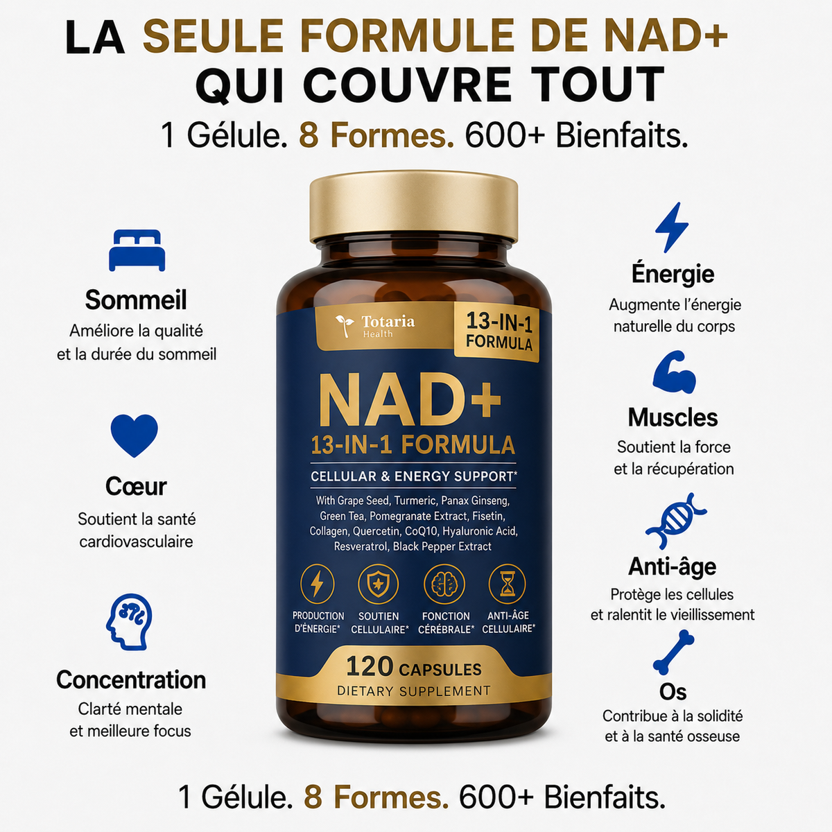 Totaria NAD+™ - Capsules de NAD+